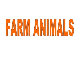 FARM ANIMALS 