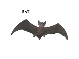 BAT
 