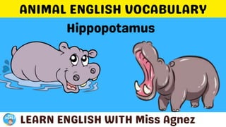 Animals Vocabulary.pptx