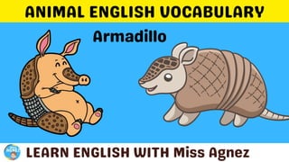 Animals Vocabulary.pptx