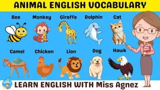 Animals Vocabulary.pptx