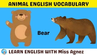 Animals Vocabulary.pptx