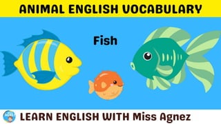 Animals Vocabulary.pptx