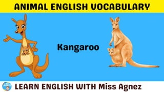 Animals Vocabulary.pptx