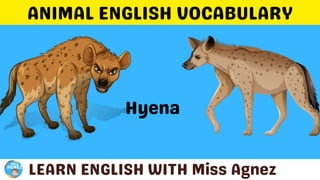 Animals Vocabulary.pptx