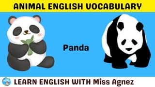 Animals Vocabulary.pptx