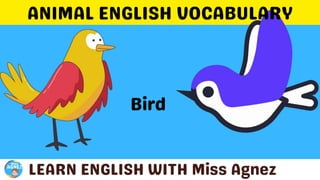 Animals Vocabulary.pptx