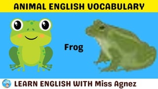 Animals Vocabulary.pptx