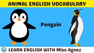 Animals Vocabulary.pptx