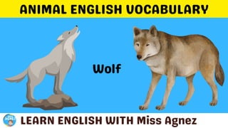 Animals Vocabulary.pptx