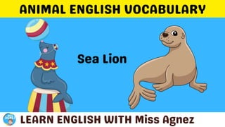 Animals Vocabulary.pptx