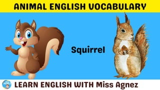 Animals Vocabulary.pptx