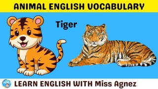 Animals Vocabulary.pptx