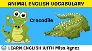 Animals Vocabulary.pptx