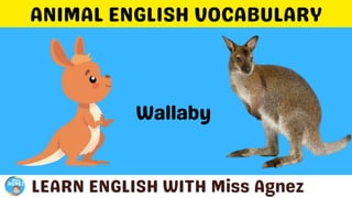 Animals Vocabulary.pptx