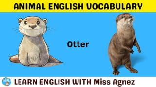 Animals Vocabulary.pptx