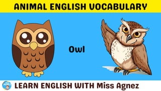 Animals Vocabulary.pptx