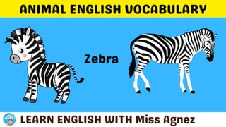 Animals Vocabulary.pptx