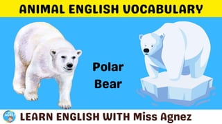 Animals Vocabulary.pptx