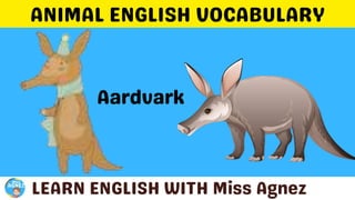 Animals Vocabulary.pptx