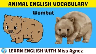 Animals Vocabulary.pptx