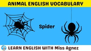 Animals Vocabulary.pptx