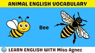 Animals Vocabulary.pptx