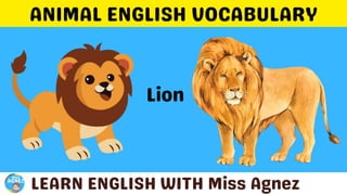 Animals Vocabulary.pptx