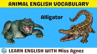 Animals Vocabulary.pptx