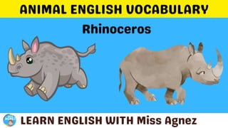 Animals Vocabulary.pptx