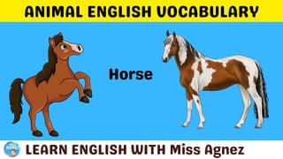Animals Vocabulary.pptx