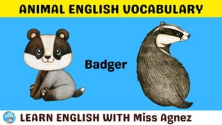 Animals Vocabulary.pptx