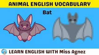 Animals Vocabulary.pptx