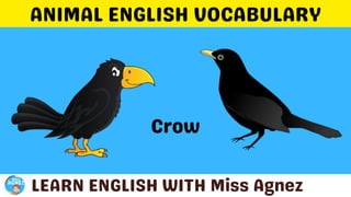 Animals Vocabulary.pptx