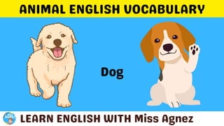 Animals Vocabulary.pptx