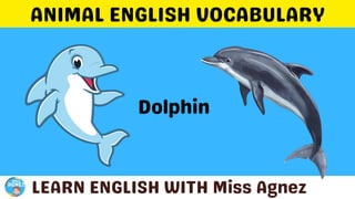 Animals Vocabulary.pptx