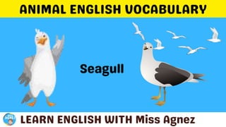 Animals Vocabulary.pptx