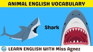 Animals Vocabulary.pptx