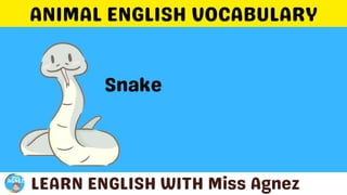 Animals Vocabulary.pptx