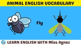 Animals Vocabulary.pptx