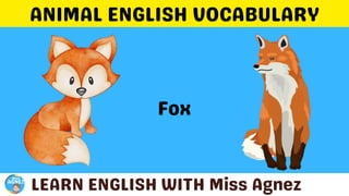 Animals Vocabulary.pptx