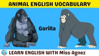 Animals Vocabulary.pptx