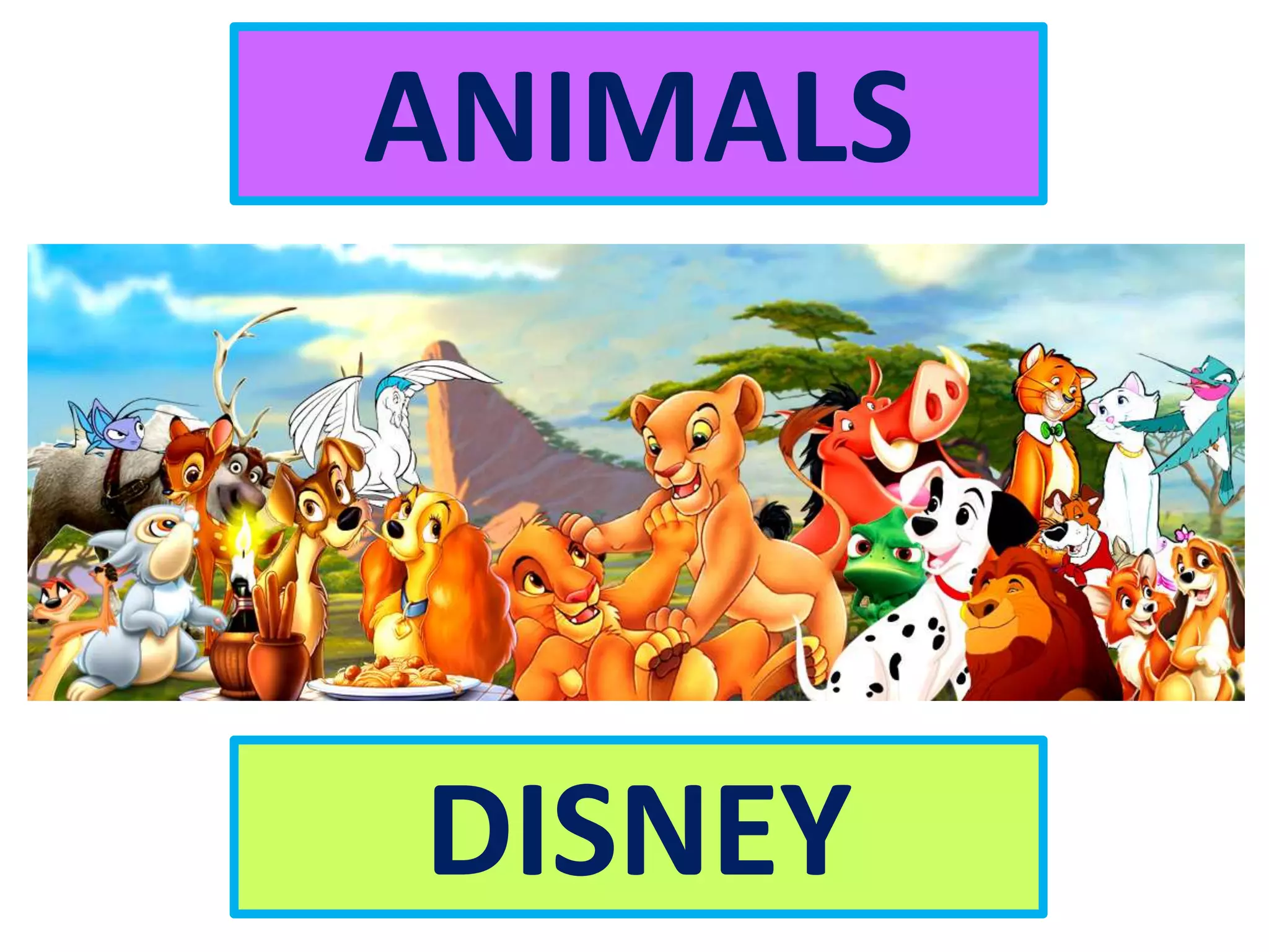 ANIMALS
DISNEY