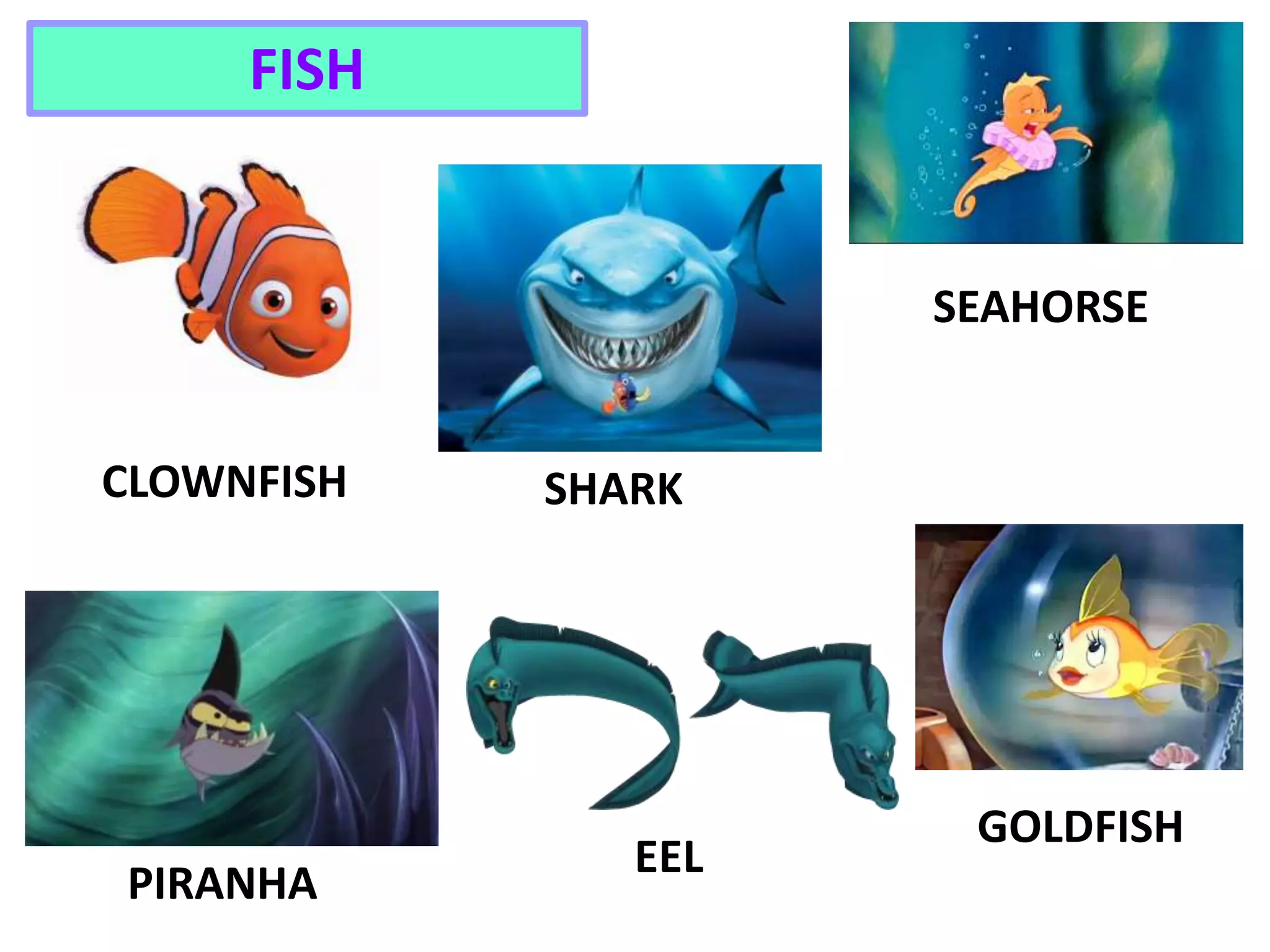 FISH
SHARKCLOWNFISH
PIRANHA
EEL
SEAHORSE
GOLDFISH