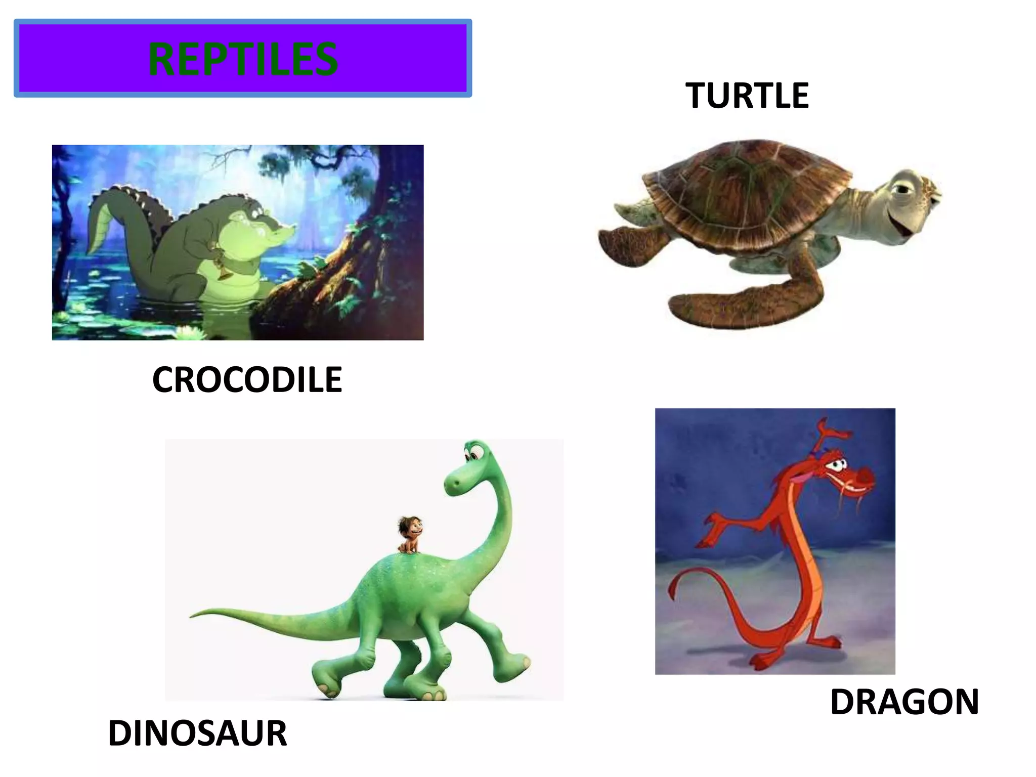 REPTILES
CROCODILE
DINOSAUR
DRAGON
TURTLE