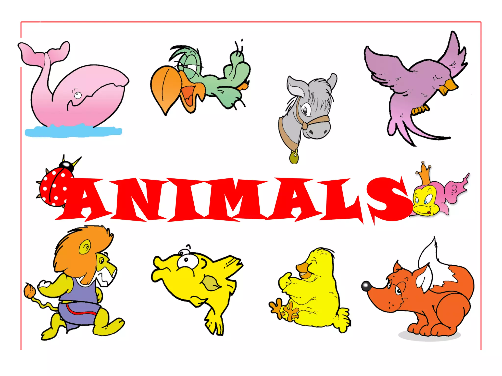 ANIMALS