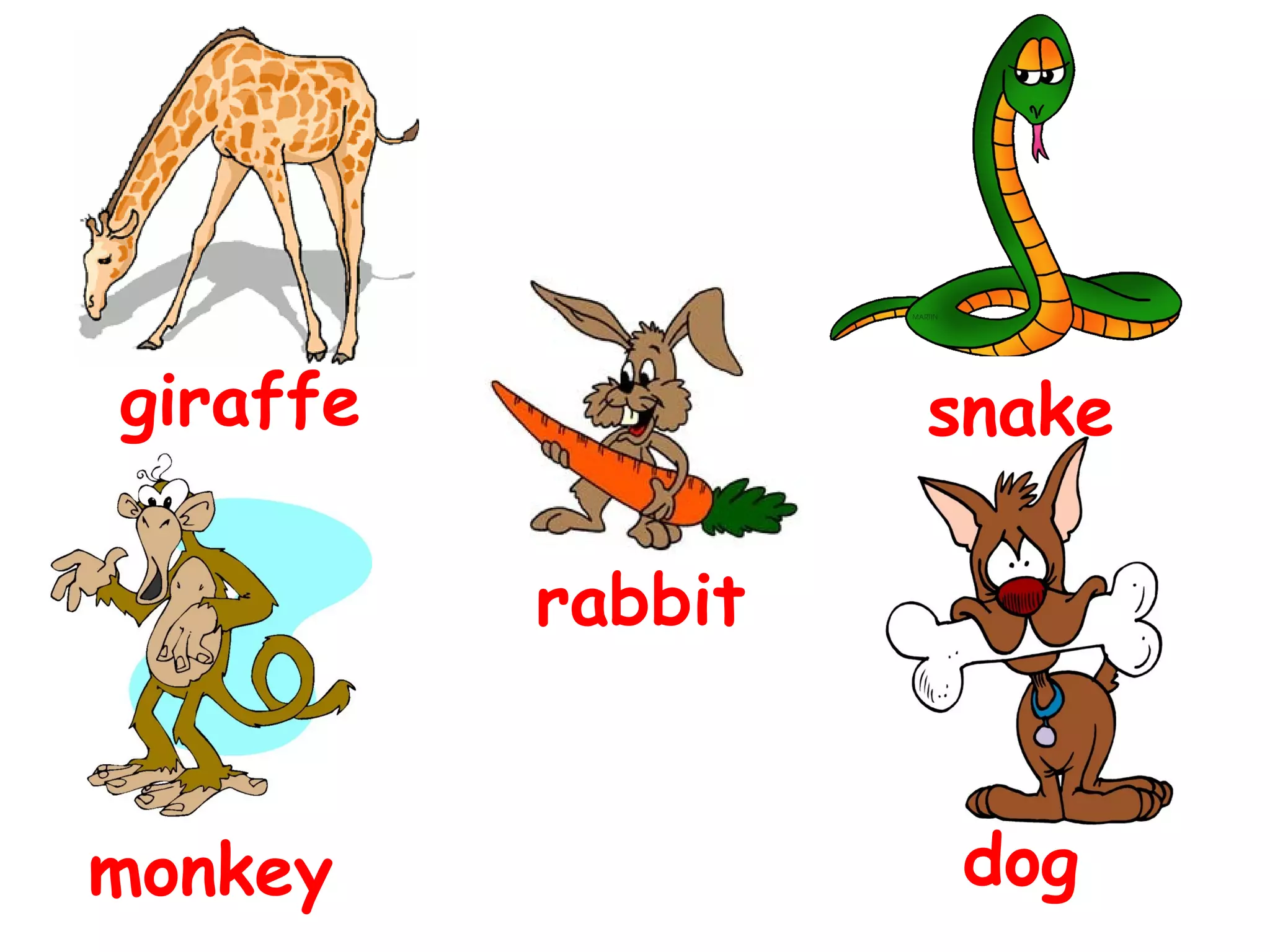 giraffe
snake
rabbit
monkey
dog