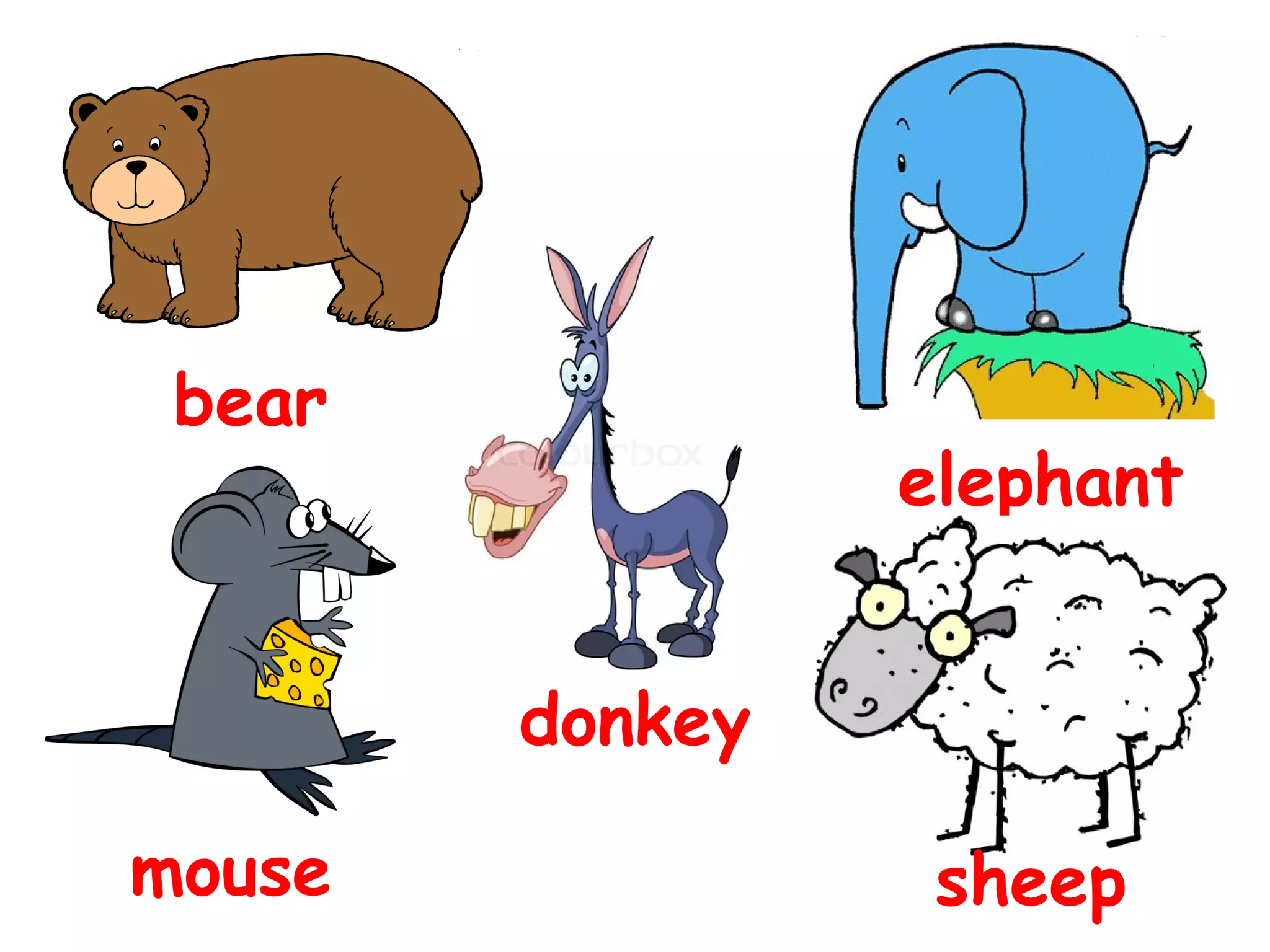 bear
elephant
donkey
mouse
sheep