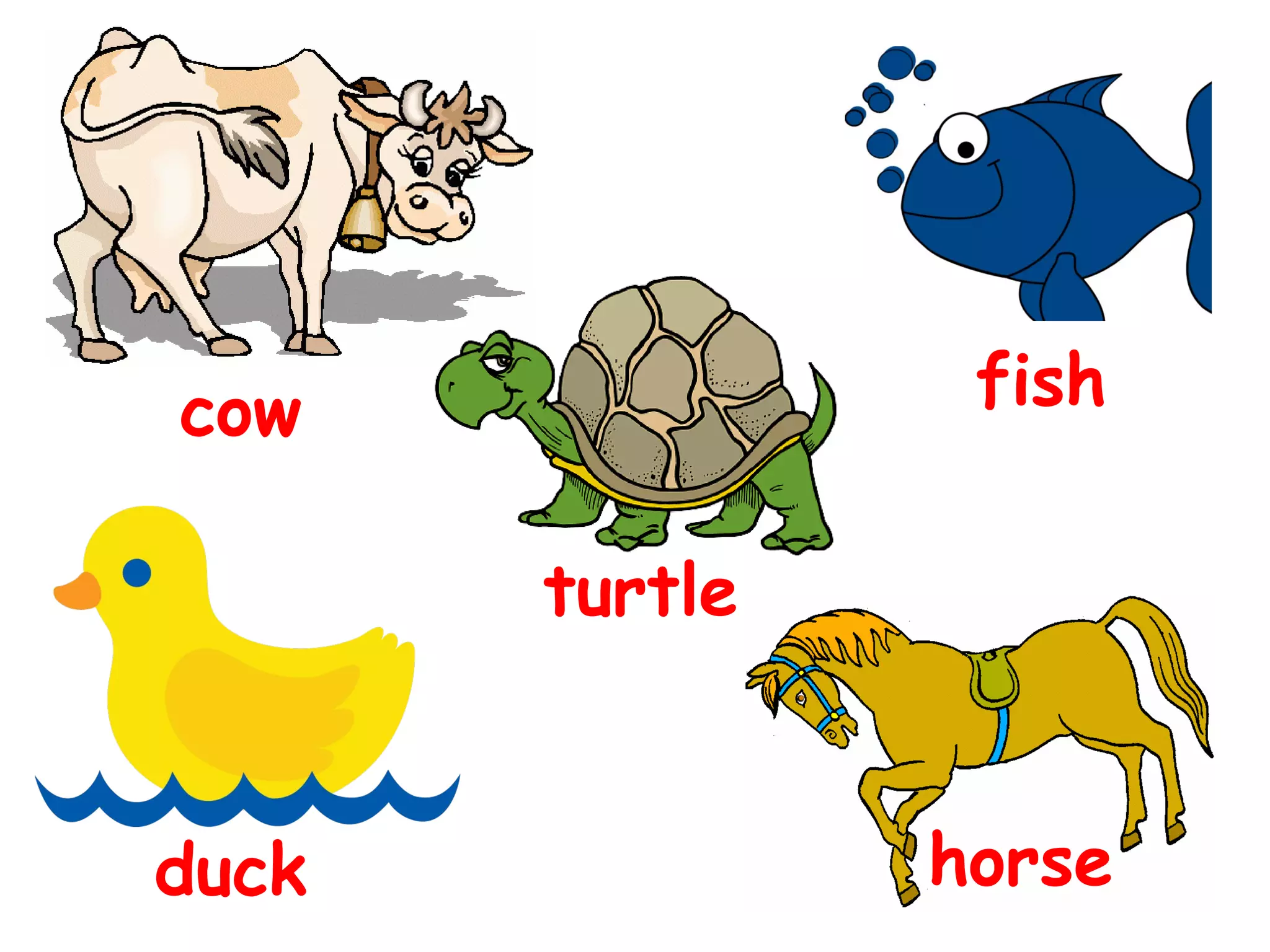 fish
cow
turtle
duck
horse