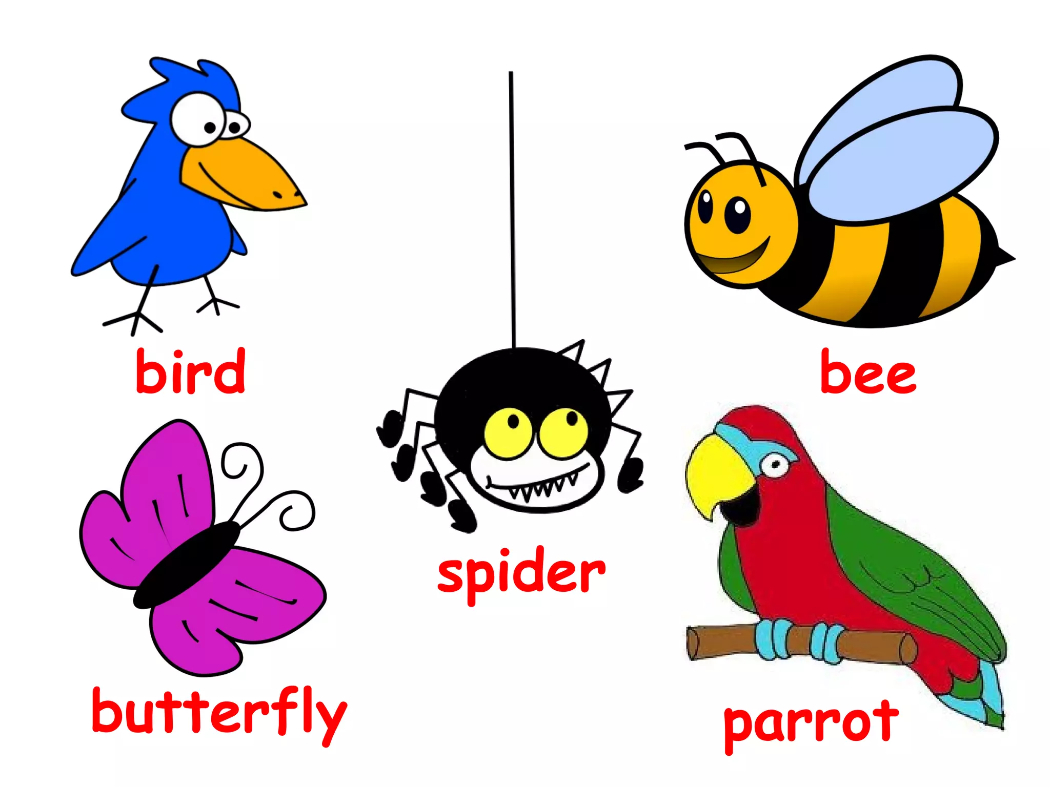 bird
bee
spider
butterfly
parrot